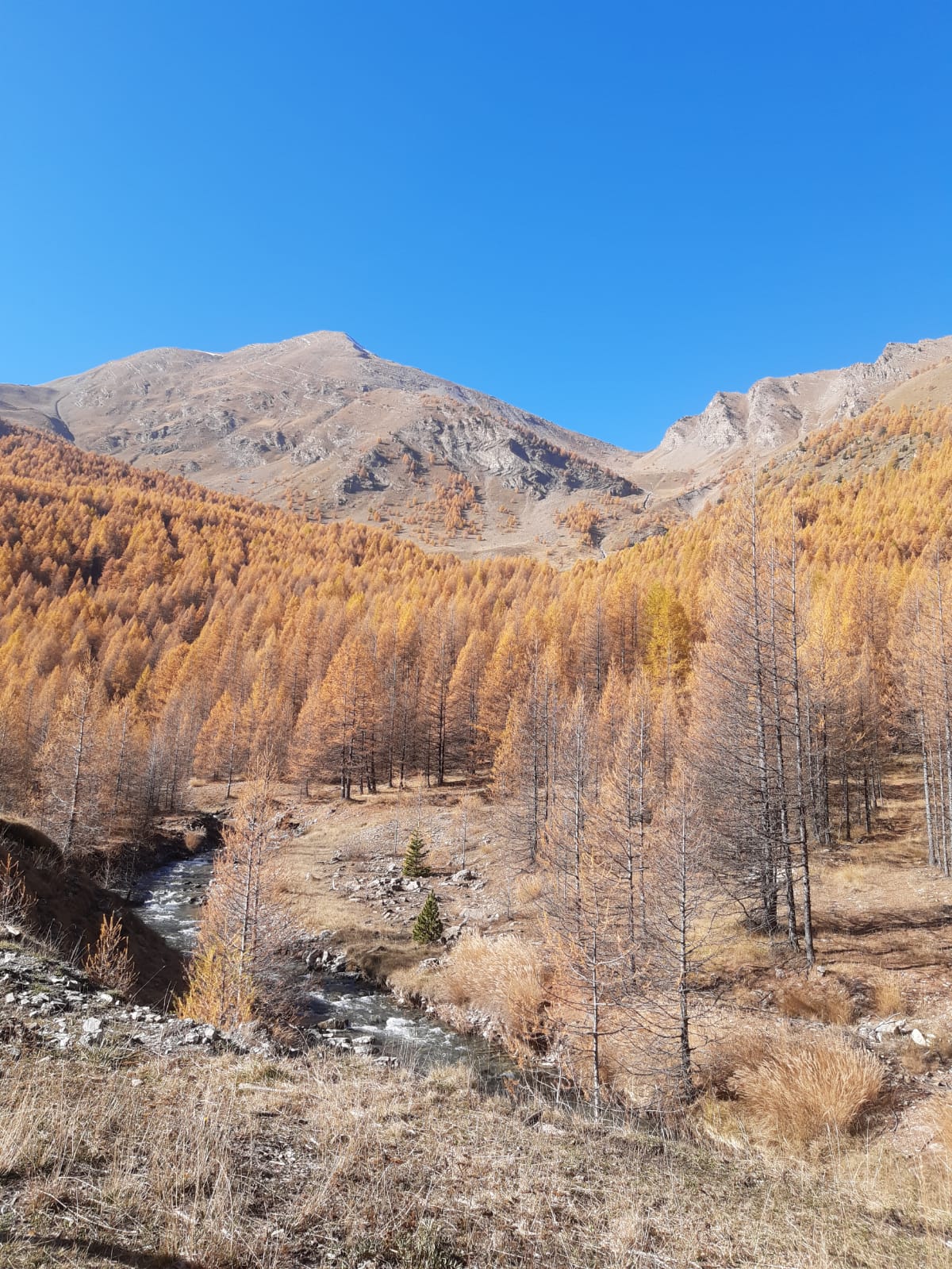 Automne au Col des Orres