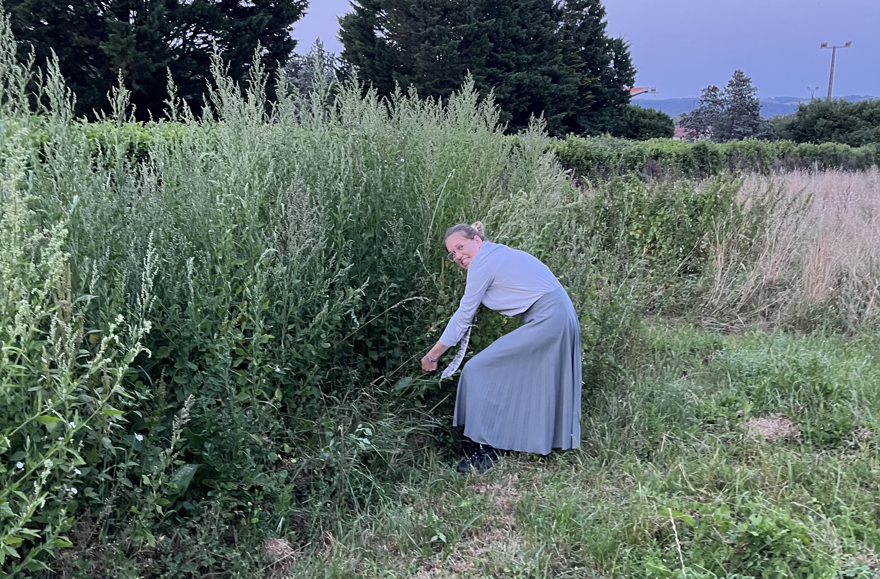 (re)découverte du jardinage