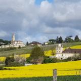 Beaupuy et ses champs de colza