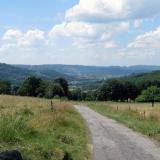 Prairies vosgiennes