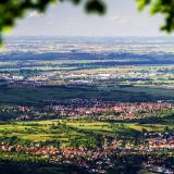 Plaine d'Alsace