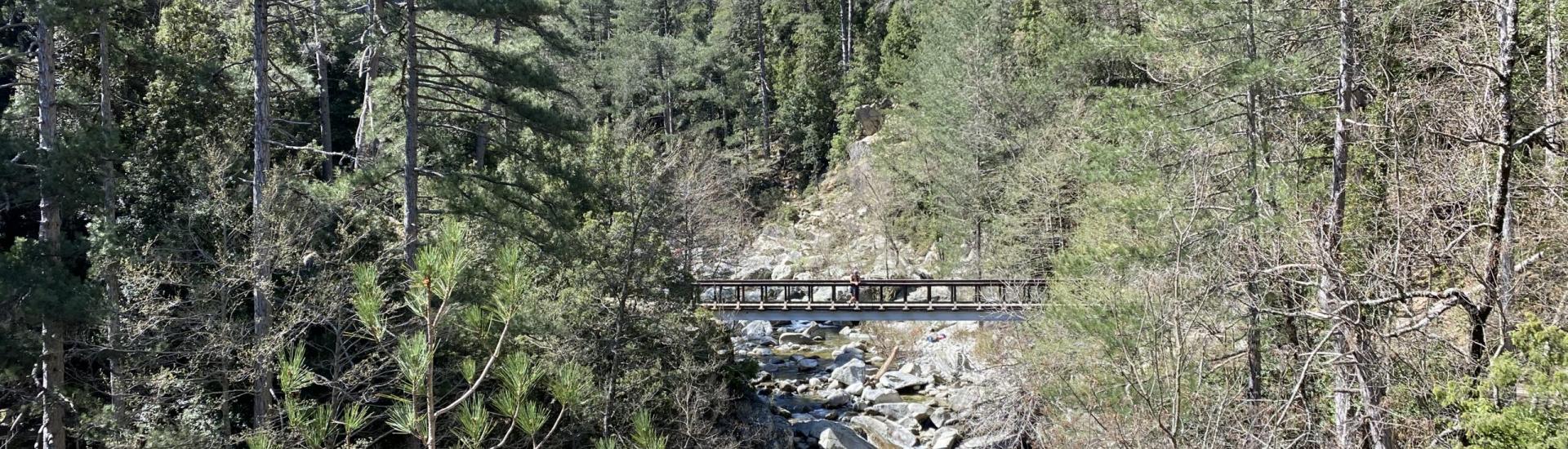 Vallée du Tavignanu